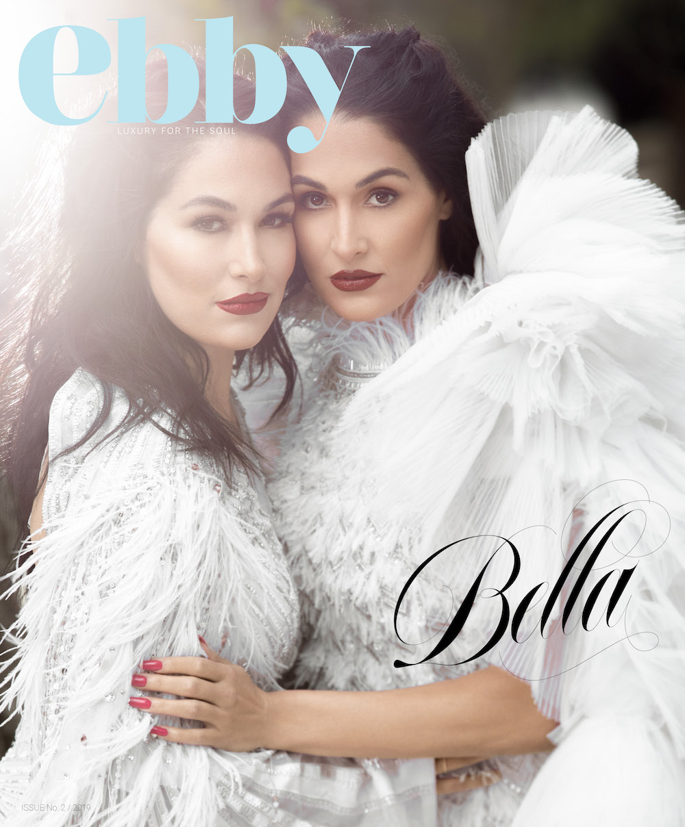 1-Bella Twins Cover